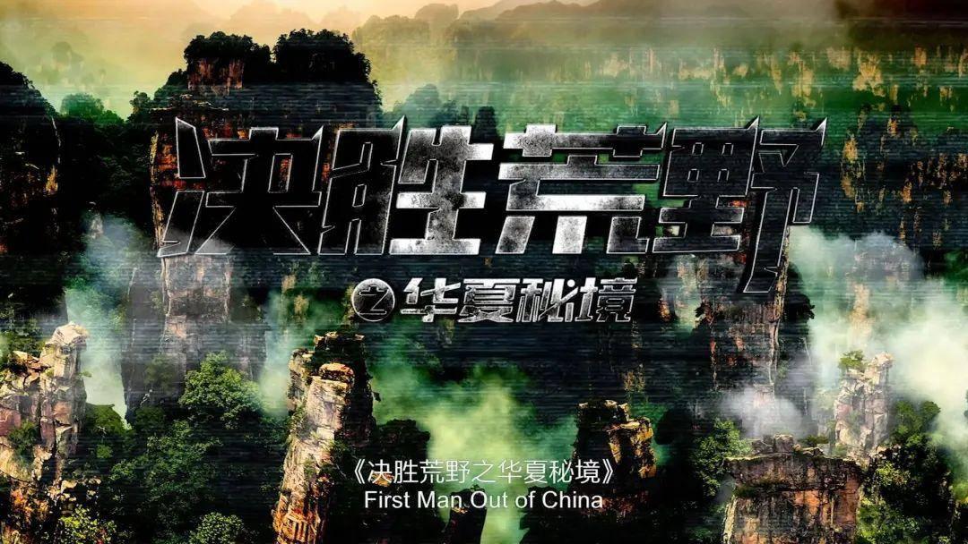 美丽的铅笔裙