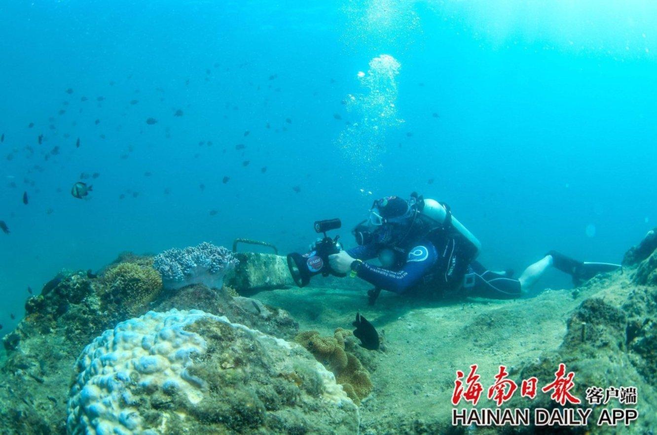 2024,青岛支撑点明确!