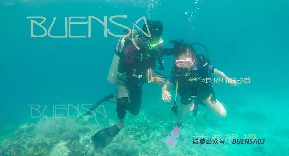 蓝狐视频