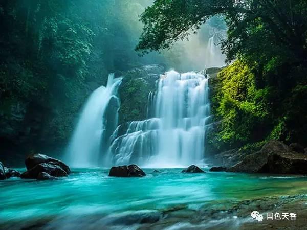 养了个时刻都在“震惊”的狗子，主人每天都会被逗乐：像是个行走的表情包！