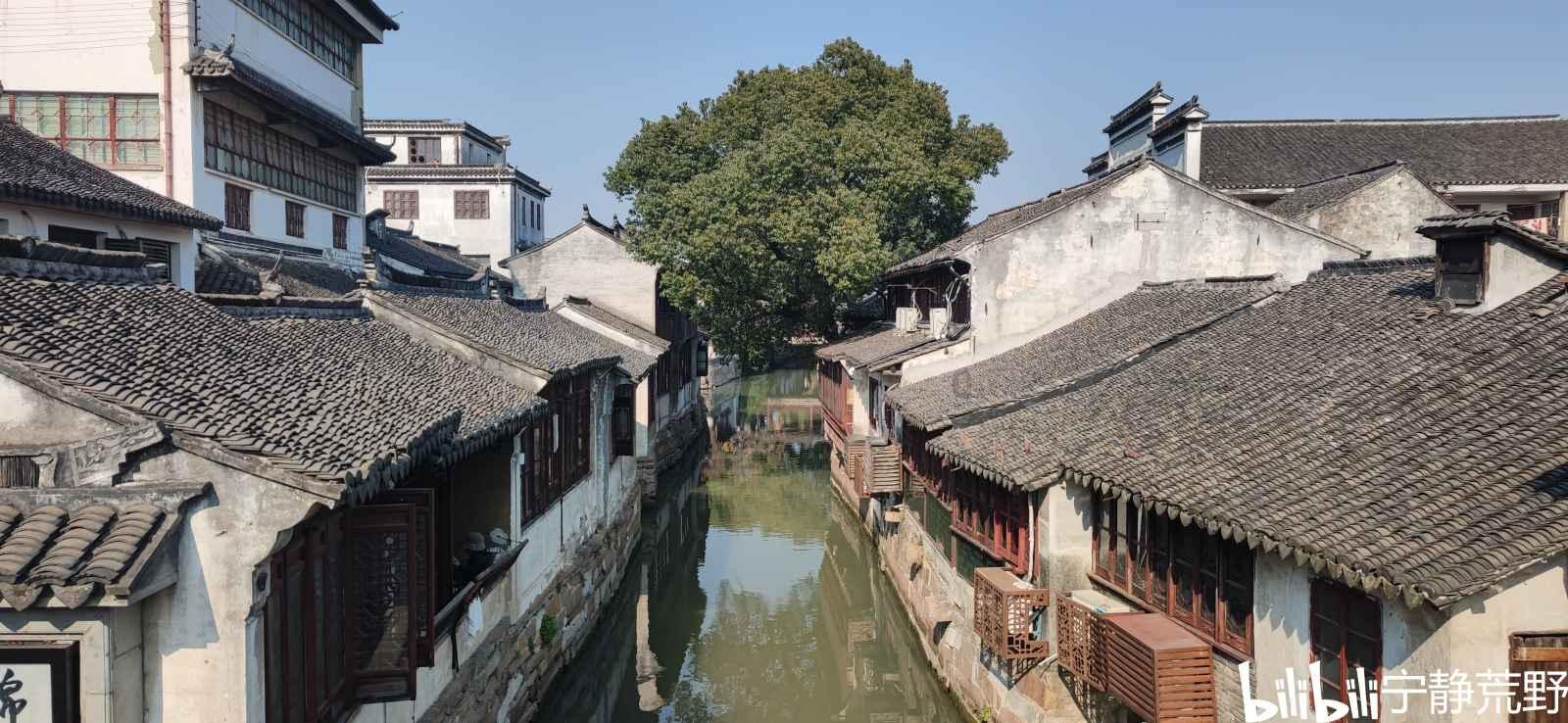 槟榔下架风波中的种植户：收购价下跌，或将损失20万元，值得同情吗？游戏画面