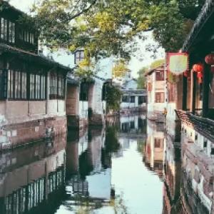 饥饿的松鼠救援